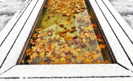 003 - herbst und winter